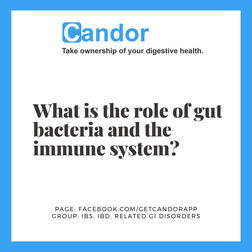 Role of Gut Bacteria