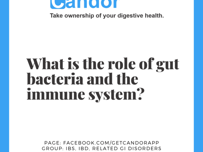 role of gut bacteria