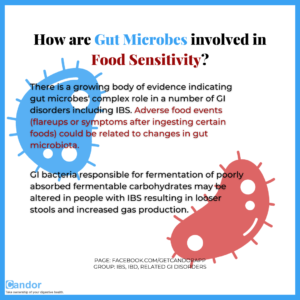 Gut Microbes involvement in Food Sensitivity