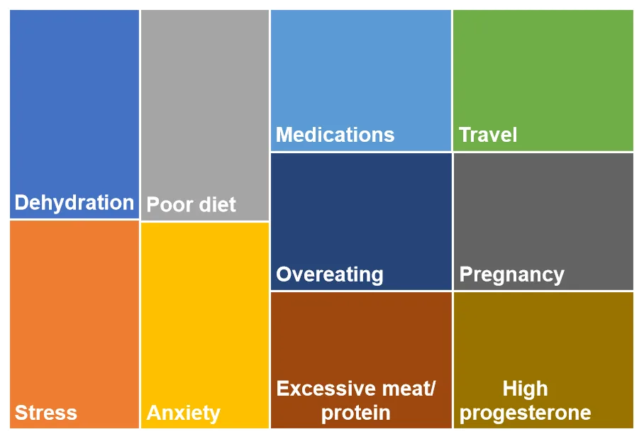 top 10 causes or triggers for constipation