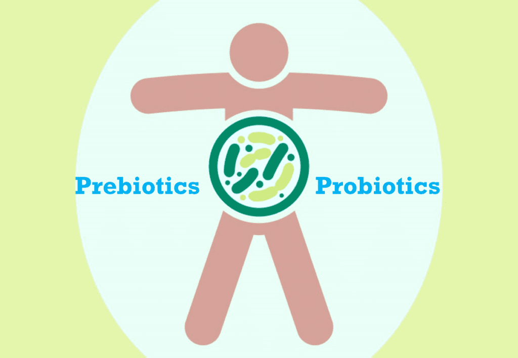 prebiotics probiotics