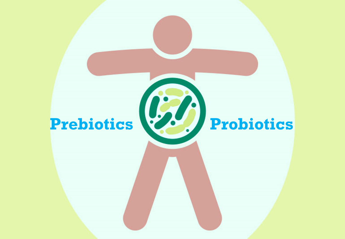 prebiotics probiotics