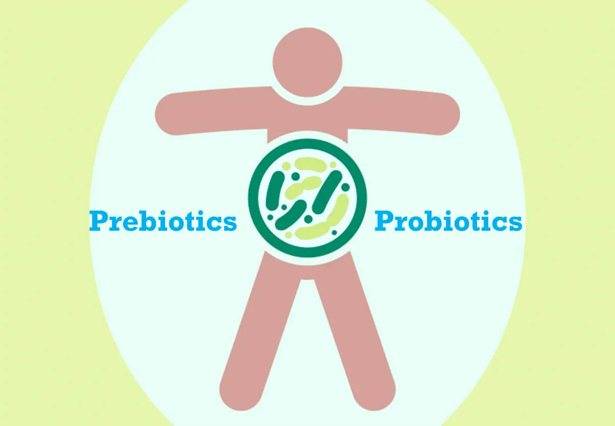 prebiotics probiotics