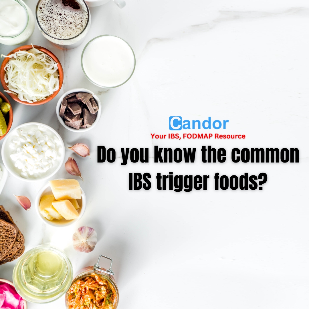 the common IBS trigger foods