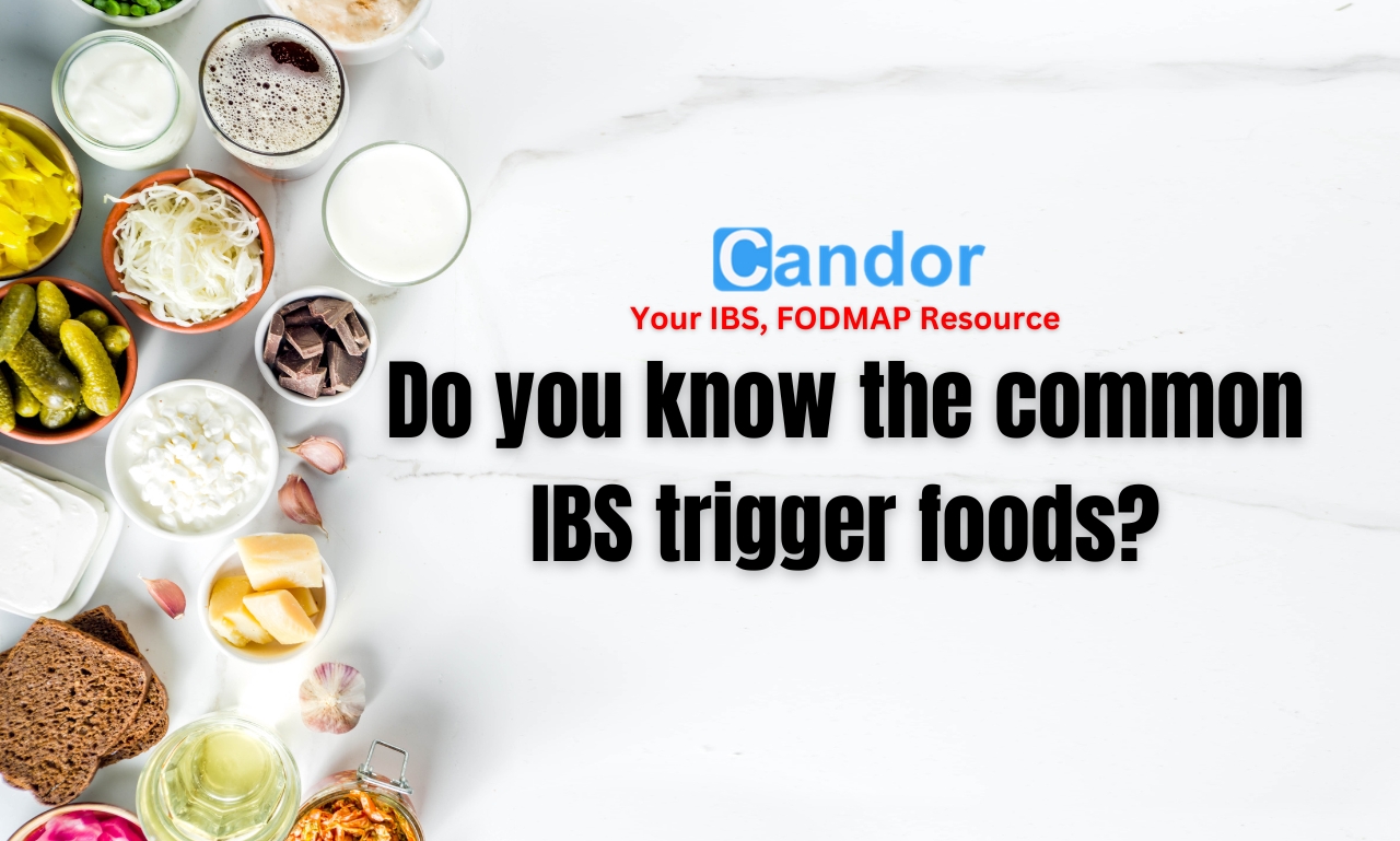 Do You Know The Common Ibs Trigger Foods Candor