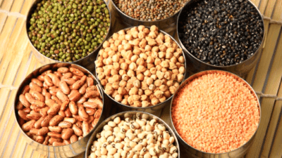 lentils lists