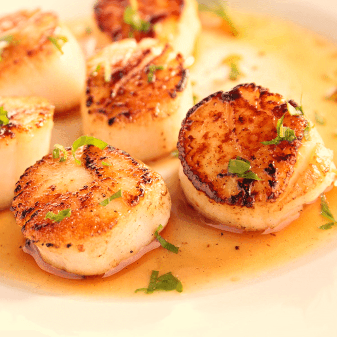 scallops in olive oil