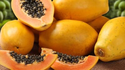 papaya candor ranked list